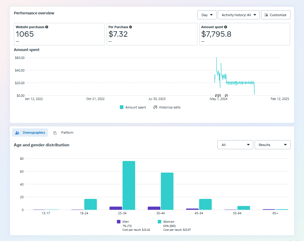 Meta Ads Ecommerce Result